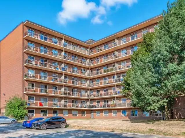 2 Bedroom Apartment Burlington ON 104841391