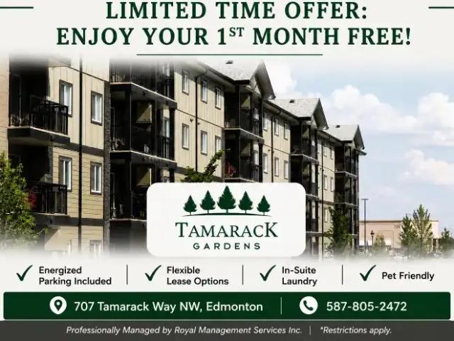 2 Bedroom Apartment Edmonton AB LS105046825