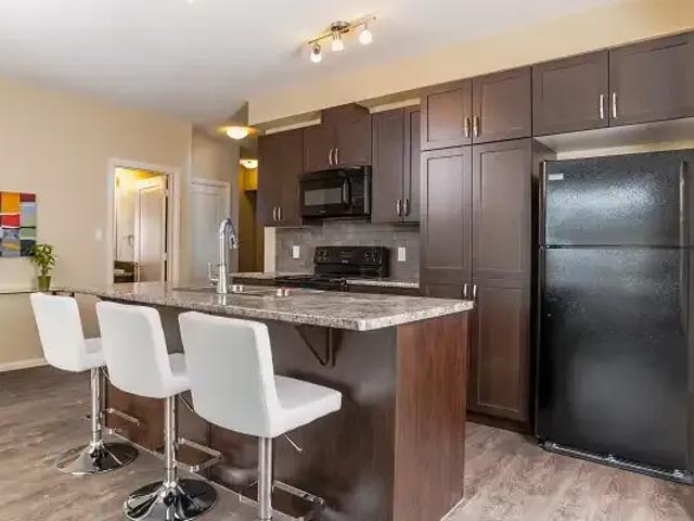2 Bedroom Apartment Edmonton AB LS101876813