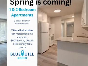 Blue Quill, Edmonton, Alberta - Patio, Balcony