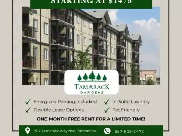 Tamarack, Edmonton, Edmonton, Alberta