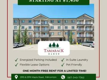 Tamarack, Edmonton, Edmonton, Alberta