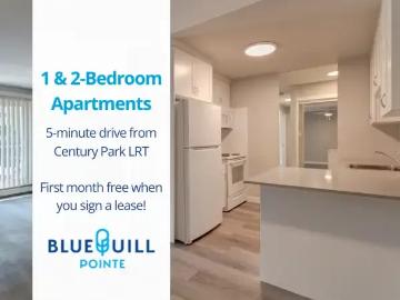 2 Bedroom Apartment Edmonton AB 103541540