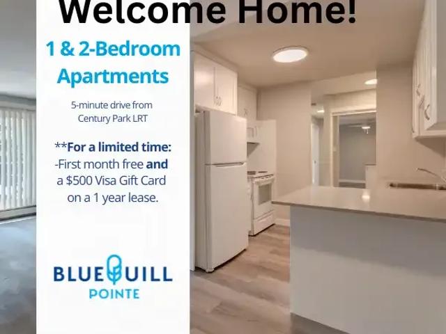 2 Bedroom Apartment Edmonton AB 104362021