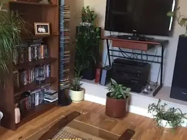 2 Bedroom Apartment Edmonton AB 104782708