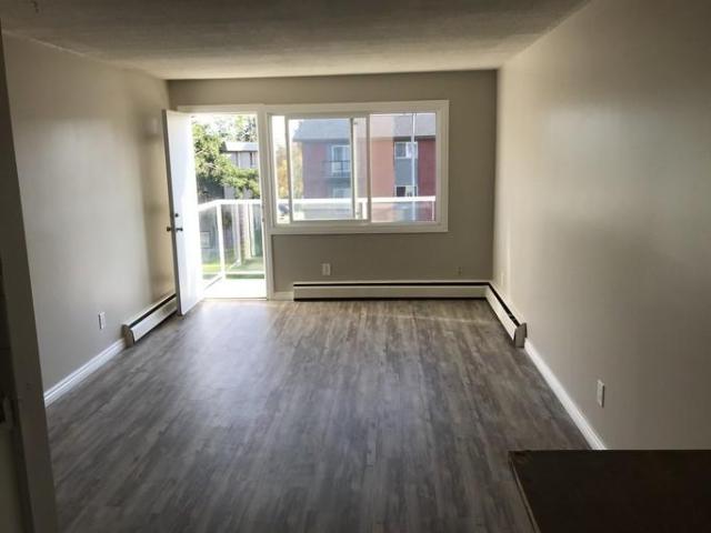 2 Bedroom Apartment Edmonton AB 105234333