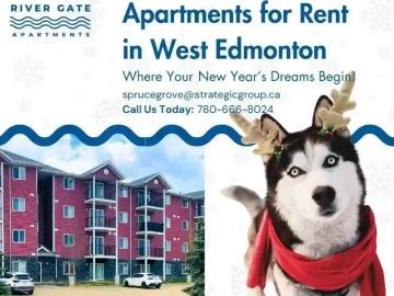 2 Bedroom Apartment Edmonton AB 98463210