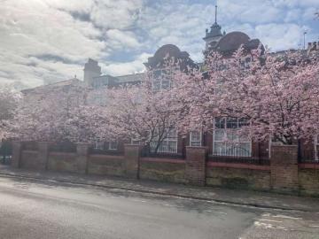2 Bedroom Apartment Flat