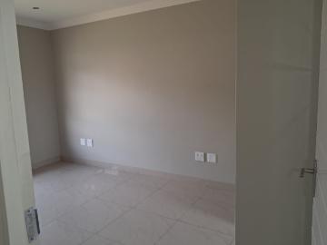 Elandshaven, City of Ekurhuleni Metropolitan Municipality, Gauteng, South Africa