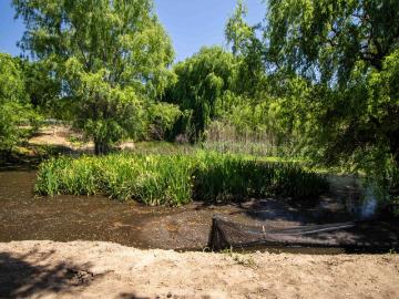 2 Bedroom Apartment / Flat For Sale in Olivedale
