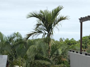 2 Bedroom Apartment / Flat For Sale in Shakas Rock