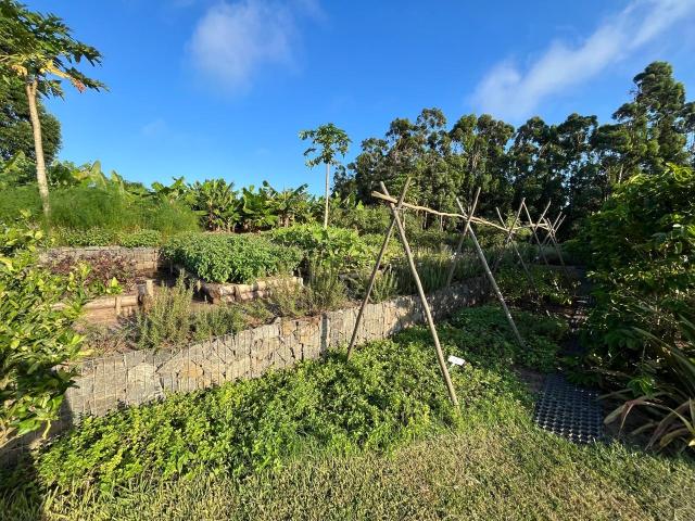 2 Bedroom Apartment / Flat For Sale in Sheffield Beach