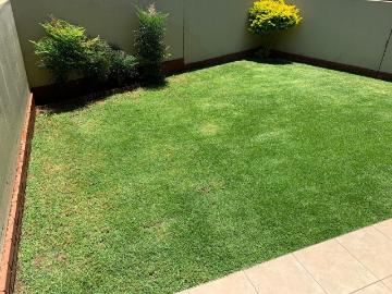 Pretoria Gardens, City of Tshwane Metropolitan Municipality, Gauteng, South Africa