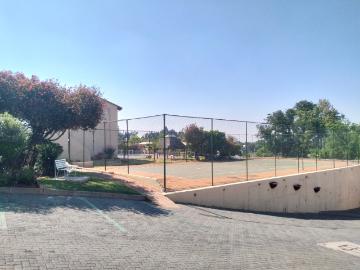 Primrose Hill, City of Ekurhuleni Metropolitan Municipality, Gauteng, South Africa