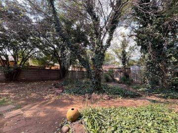 Three Rivers, Emfuleni Local Municipality, West Rand District Municipality, Gauteng, South Africa