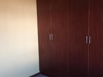 Port Owen, Saldanha Bay Local Municipality, West Coast District Municipality, Western Cape