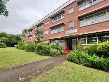 Scottsville, Msunduzi Local Municipality, Msunduzi Local Municipality, Sisonke District Municipality, KwaZulu-Natal