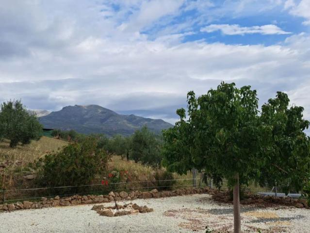 2 bedroom apartment for rent in Málaga, bills included