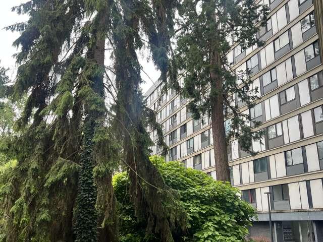 2 bedroom apartment for rent in Mons, Brussels