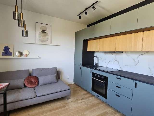 2 bedroom apartment for rent in Bałuty Centrum, Łódź