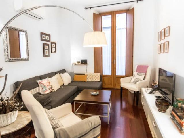 2 bedroom apartment for rent in Center