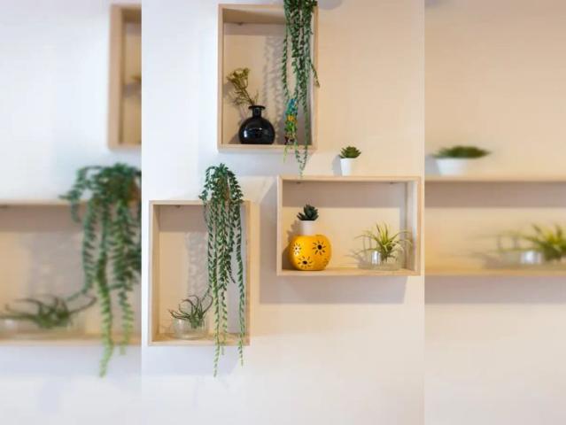 2 bedroom apartment for rent in Coimbra