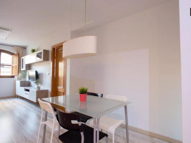 2 bedroom apartment for rent in El Carme, all bills included