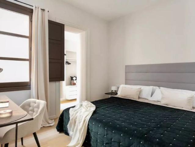 2 bedroom apartment for rent in El Gòtic, Barcelona
