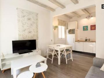 2 bedroom apartment for rent in El Raval, Barcelona