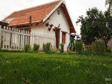 2 bedroom apartment for rent in La Ñora