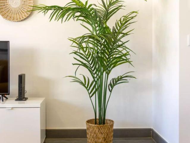 2 bedroom apartment for rent in Portimão