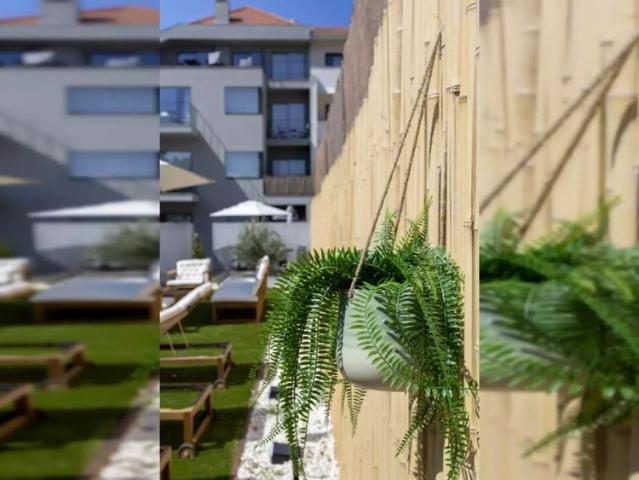 2 bedroom apartment for rent in Porto, bills included
