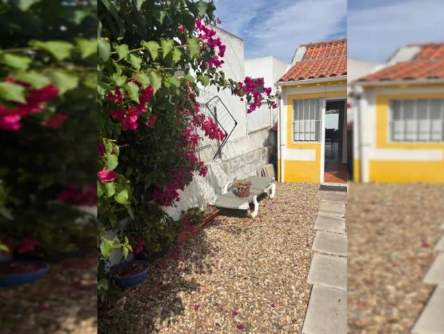 2 bedroom apartment for rent in Sesimbra
