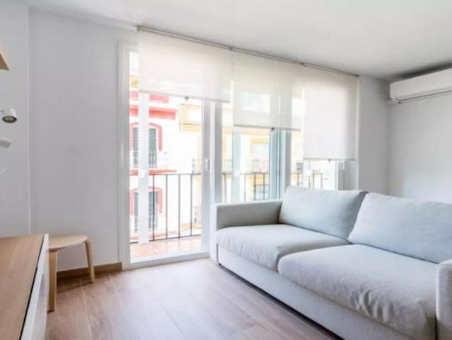 2 bedroom apartment for rent in Sevilla