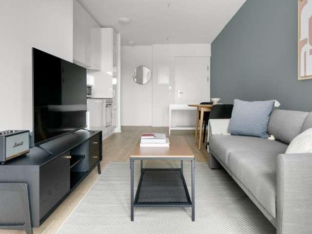 2 bedroom apartment for rent in Vienna, Vienna