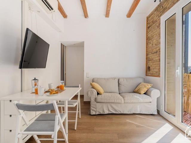 2 Bedroom Apartment in La Barceloneta