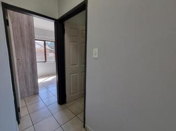 2 Bedroom Apartment in Tzaneen