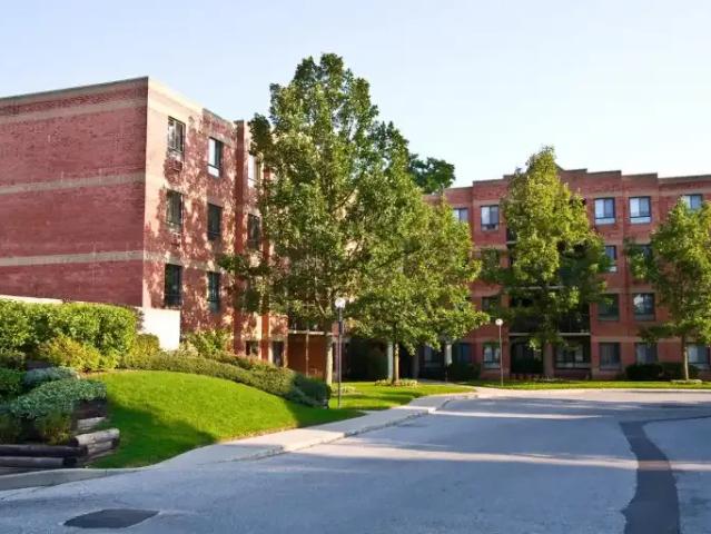 2 Bedroom Apartment London ON 103695049