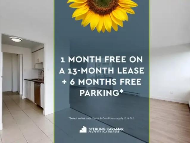2 Bedroom Apartment London ON 105087313