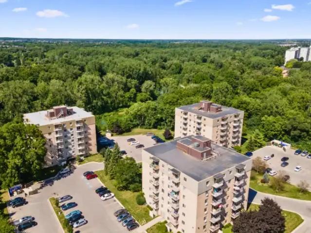 2 Bedroom Apartment London ON LS97702854