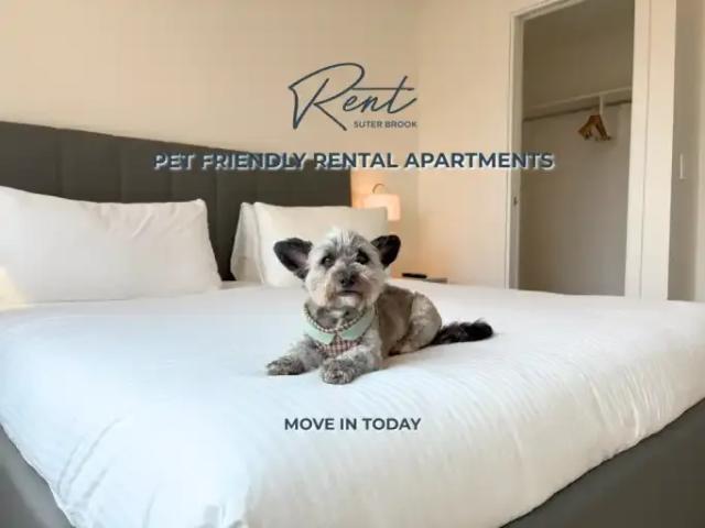 2 Bedroom Apartment Port Moody BC 105653856