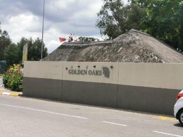 Comet, Lesedi Local Municipality, Sedibeng District Municipality, Gauteng, South Africa