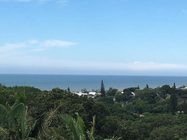 2 Bedroom Apartment To Let in Shelly Beach