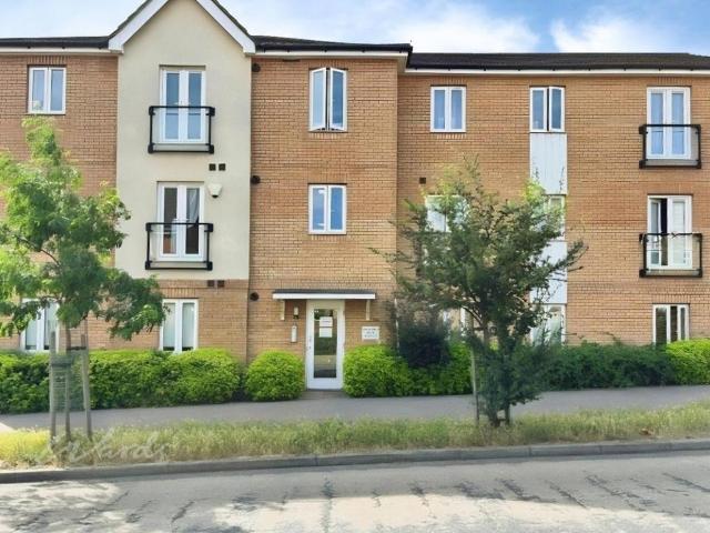 2 bedroom apartment to rent