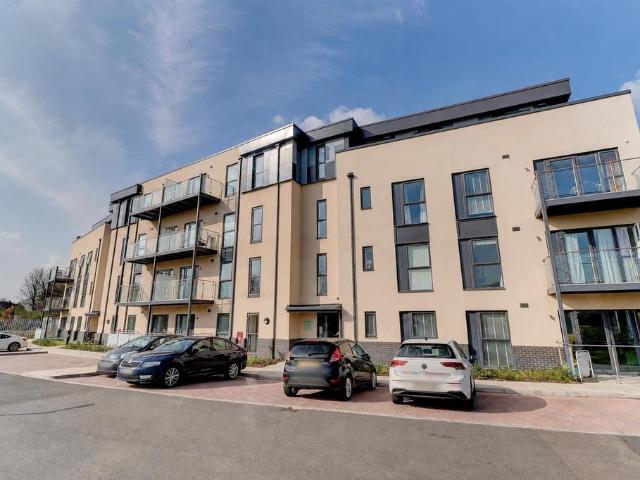 2 bedroom apartment to rent