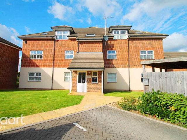 2 bedroom apartment to rent