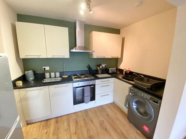 1 bedroom apartment to rent