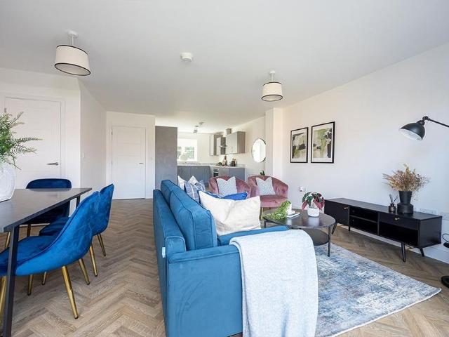 2 bedroom apartment to rent