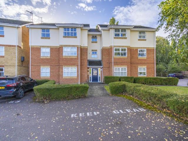 2 bedroom apartment to rent