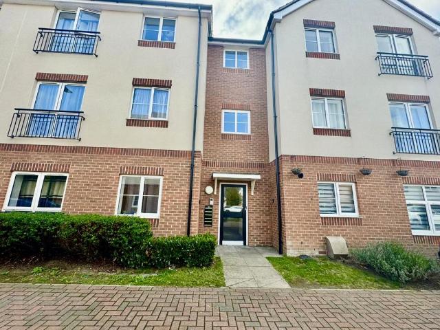 2 bedroom apartment to rent